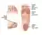 εικόνα για μασάζ πελμάτων FootTherapy